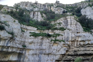 Из Катании: тур с гидом по Панталике и Сортино