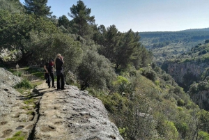 Из Катании: тур с гидом по Панталике и Сортино