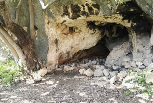 Из Катании: тур с гидом по Панталике и Сортино