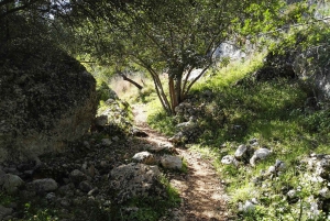 Из Катании: тур с гидом по Панталике и Сортино