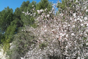 Из Катании: тур с гидом по Панталике и Сортино