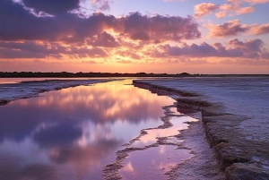 Marsalasta: Egadin saaret -veneretki uintipysähdyksillä