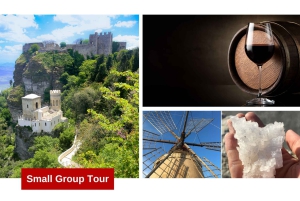 Da Palermo: Tour del sale, dell'olio e del vino di Erice e Marsala