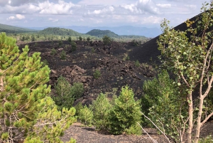Desde Taormina: Excursión de día completo al Etna, el Vino y los Cañones de Alcántara