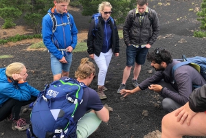タオルミーナ発：エトナ山の半日朝トレッキング