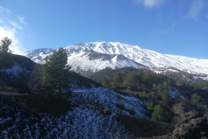 タオルミーナ発：エトナ山の半日朝トレッキング