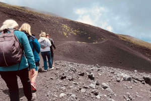 Taorminasta: Etna-vuoren opastettu bussikierros