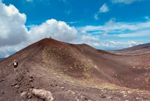 Taorminasta: Etna-vuoren opastettu bussikierros