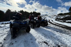 Fra Taormina eller Giardini Naxos: Tur på firehjuling mellom Alcantara-juvet og Etna