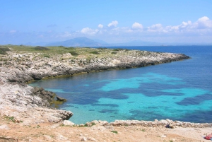 From Trapani: Cruise to Favignana and Levanzo with lunch