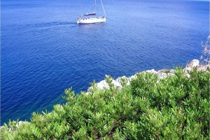 From Trapani: Cruise to Favignana and Levanzo with lunch