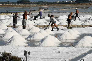 Fra Trapani: tur til Marsala-saltbassengene og Stagnone-øyene