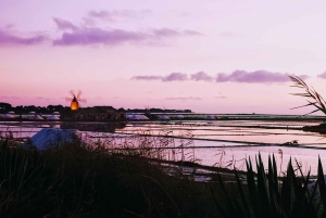 Fra Trapani: tur til Marsala-saltbassengene og Stagnone-øyene