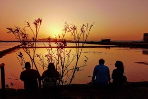 Fra Trapani: tur til Marsala-saltbassengene og Stagnone-øyene