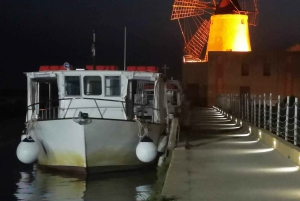 Fra Trapani: tur til Marsala-saltbassengene og Stagnone-øyene