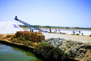 Fra Trapani: tur til Marsala-saltbassengene og Stagnone-øyene