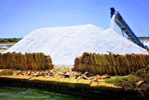 Fra Trapani: tur til Marsala-saltbassengene og Stagnone-øyene
