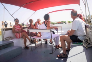 Fra Trapani: tur til Marsala-saltbassengene og Stagnone-øyene