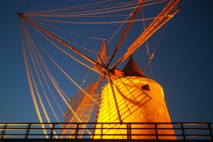 Fra Trapani: tur til Marsala-saltbassengene og Stagnone-øyene