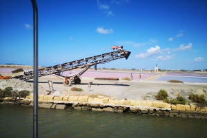 Fra Trapani: tur til Marsala-saltbassengene og Stagnone-øyene