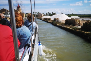 Fra Trapani: tur til Marsala-saltbassengene og Stagnone-øyene