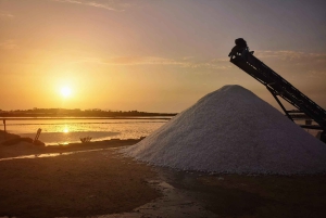 Fra Trapani: tur til Marsala-saltbassengene og Stagnone-øyene