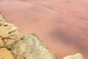 Fra Trapani: tur til Marsala-saltbassengene og Stagnone-øyene