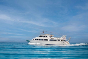 トロペア発：リパリ・パネレア・ストロンボリ ナイトクルーズ