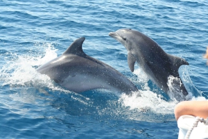 Giardini Naxos: Passeio de catamarã com golfinhos ao pôr do sol com Aperetif