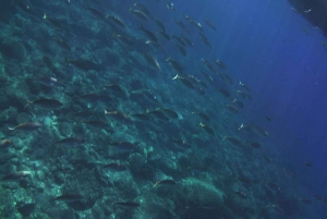 Джардини Наксос: Таормина и Изола Круиз Белла с аперитивом