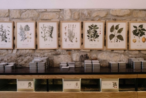 Guided tasting of the 'Best Chocolate of Modica.'