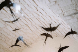 Guided tasting of the 'Best Chocolate of Modica.'