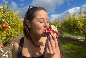 Fonte termal e templo