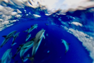 Isola Bella-Grotte Bleue : tour en bateau, plongée avec tuba et apéritif