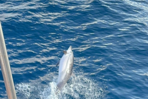 Isola Bella-Grotte Bleue : tour en bateau, plongée avec tuba et apéritif