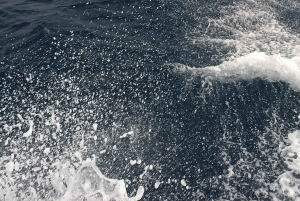 Jetskiutleie i Letojanni