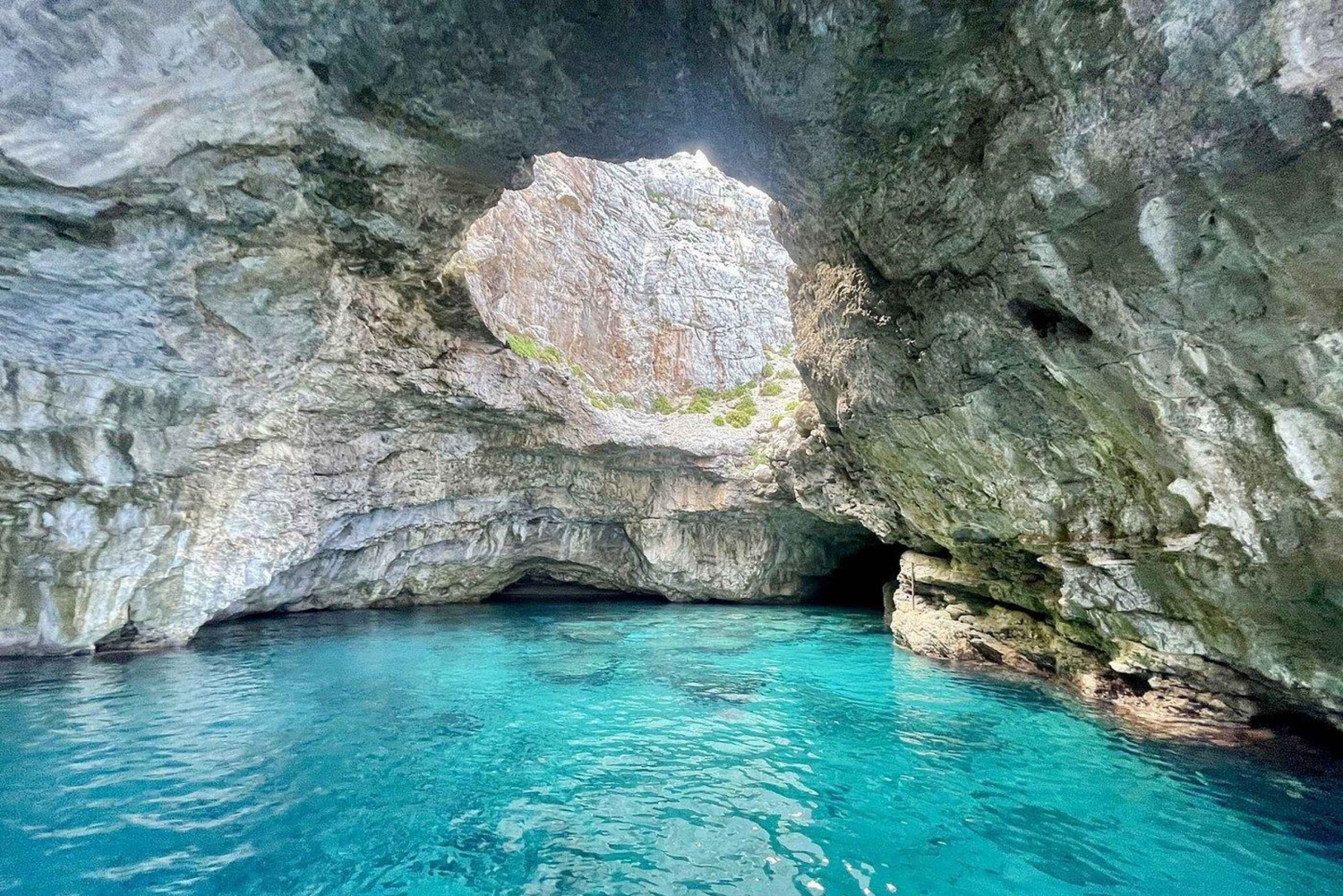 Marettimo: Private Bootstour zu 8 Höhlen mit Schnorcheln