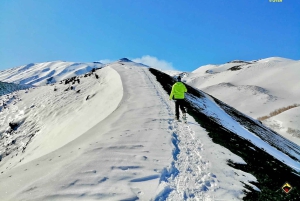 Mount Etna: Craters of the 2002 Eruption Trekking Experience