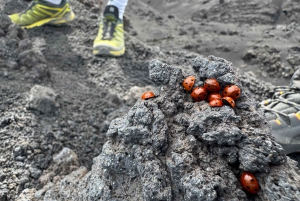 Vulcano Etna: Escursione a 3000 metri sui crateri ad alta quota in trekking