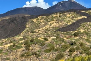 Mont Etna : excursion en Jeep 4x4 d'une demi-journée le matin