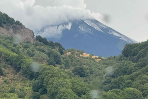 Mont Etna : excursion en Jeep 4x4 d'une demi-journée le matin