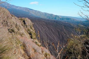 Mont Etna : excursion en Jeep 4x4 d'une demi-journée le matin