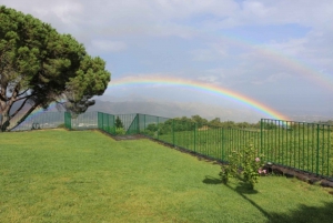 Mount Etna: Winery Tour and Tasting