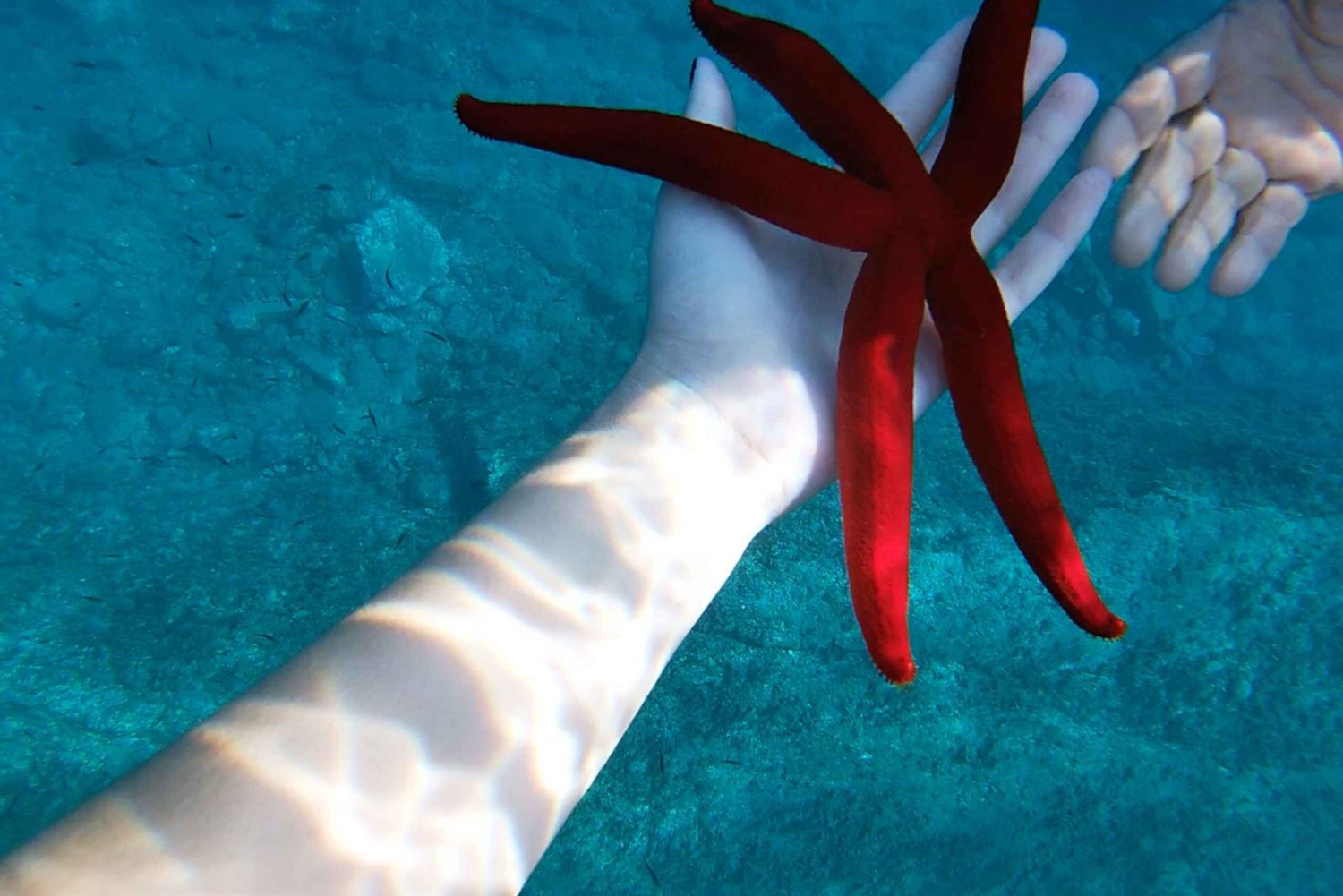 Naxos: Tour in barca di Taormina con snorkeling e prosecco