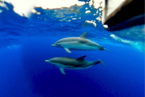 Naxos: Båttur i Taormina med snorkling og prosecco