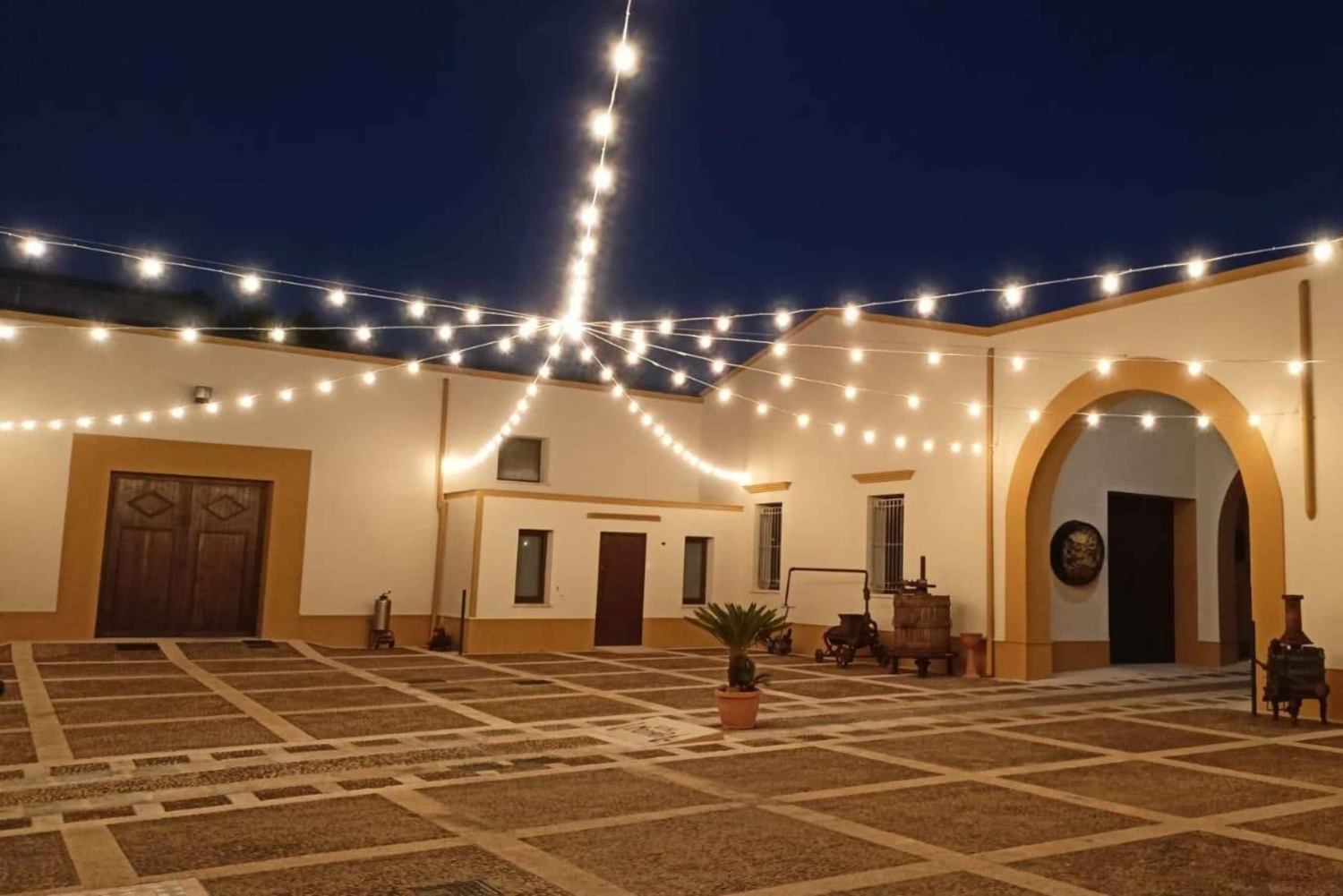 Kvällstur i historisk vinkällare och vinprovning med siciliansk mat