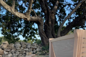 Noto: Fra jord til bord på Sicilia - matlagingskurs på en gård