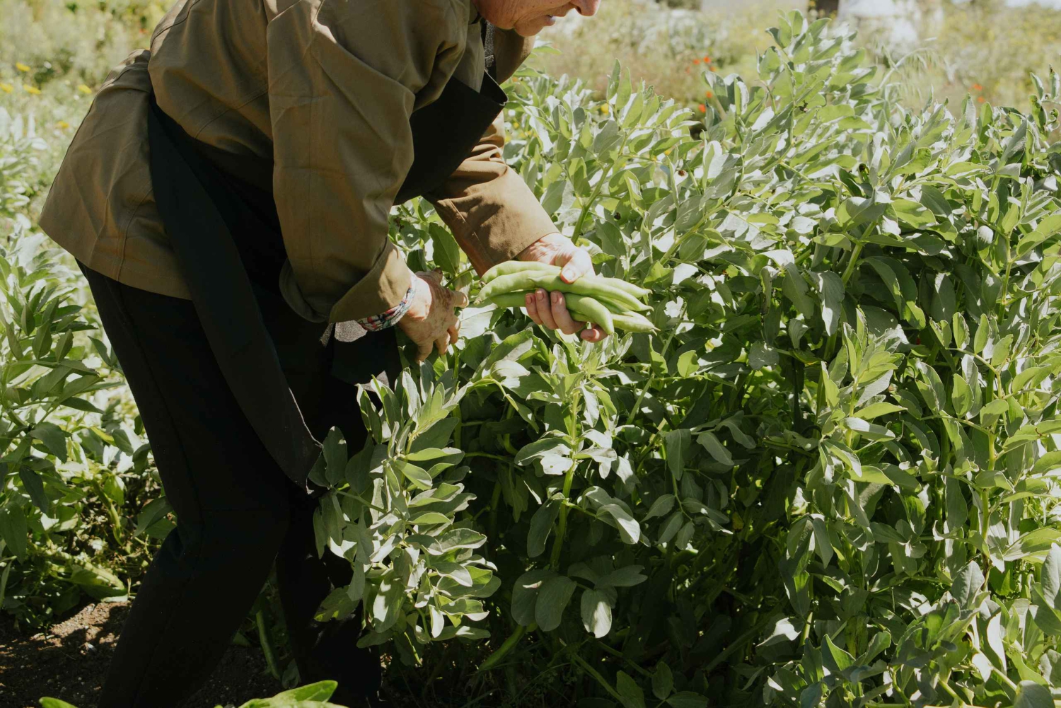 Noto: Højdepunkter Oplevelsestur Madlavning fra jord til bord
