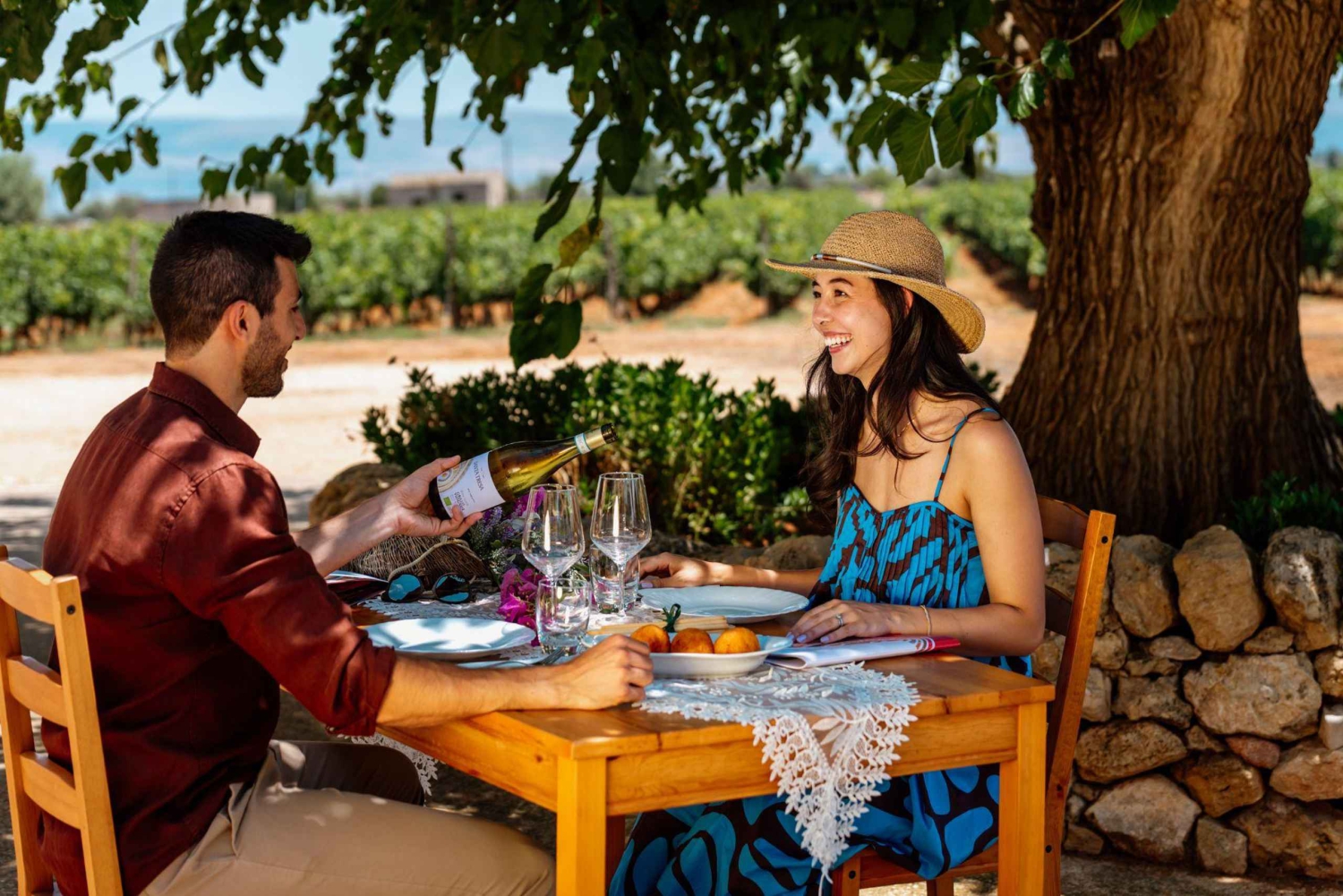 Visita a uma adega biológica, prova de vinhos e almoço ligeiro perto de Ragusa