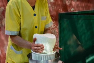 Palazzolo Acreide: Ricottaost och gårdstur med provsmakning